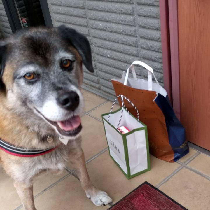 2ec90f0a ddcb 401f 85fc 3f0032f0ad50