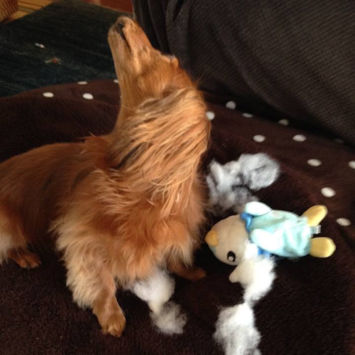 2ec94132 e8aa 4c45 bf16 b74f8343d838