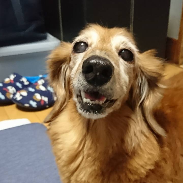 2ec9a1cc f942 41a6 9903 1f3d090821aa