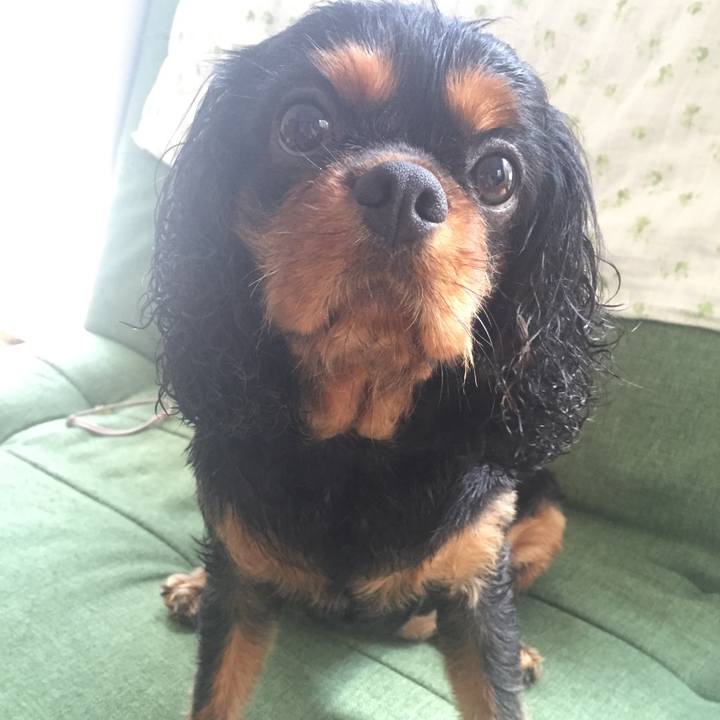 2ec9b7c8 088a 446d bcf9 4029bc342ca5