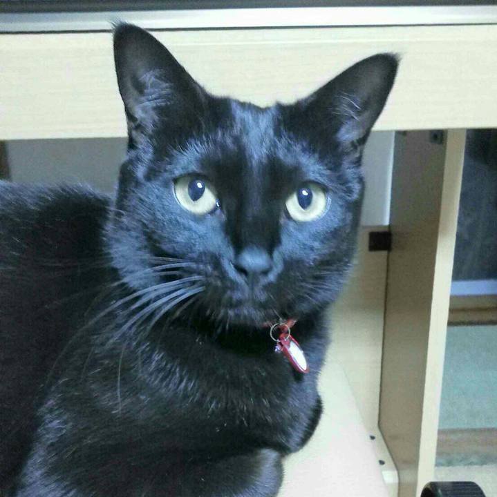 2eca75a1 6c80 44d4 a303 7b44680a2cff