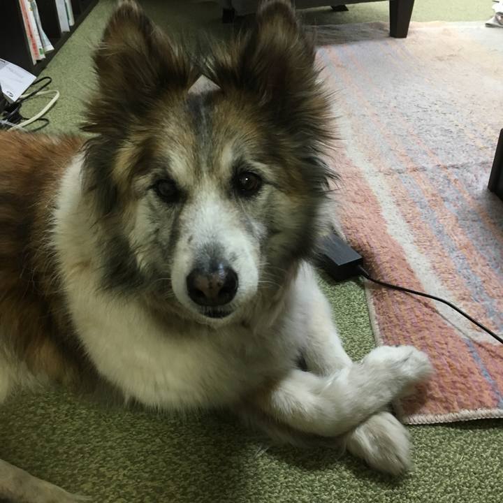 2ecab194 f60a 4522 99c0 0f1252771ead