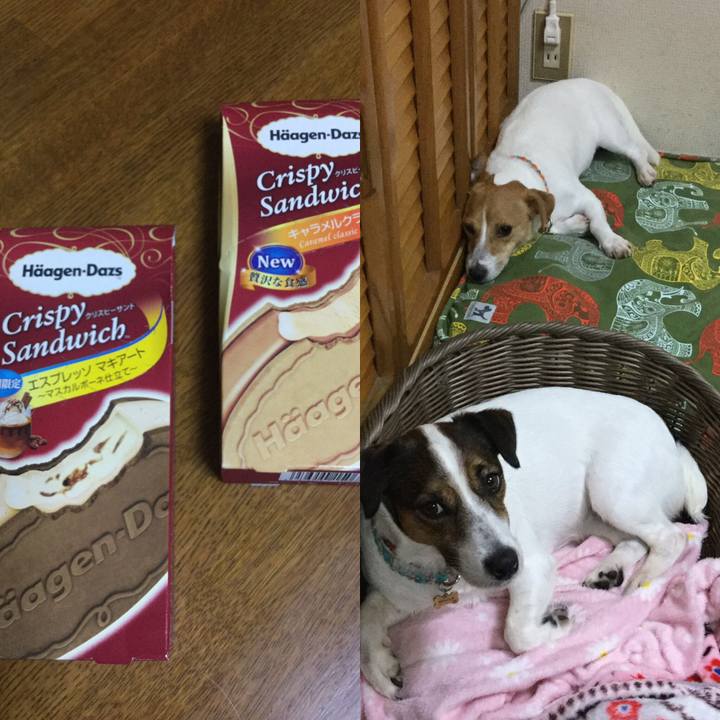 2ecab7f6 b522 4d6c 8851 bb2f36e2e536