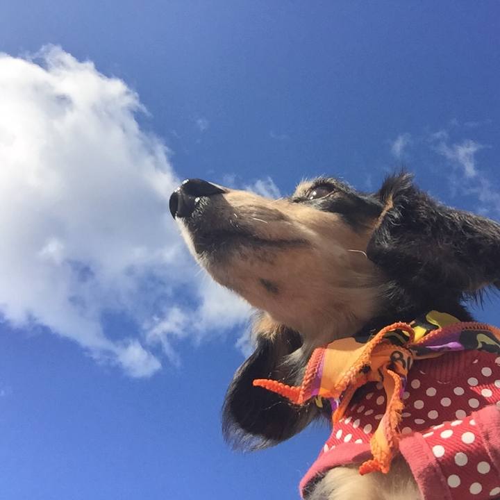 2ecac89d 2b7f 4d47 825d de3de5a551d1