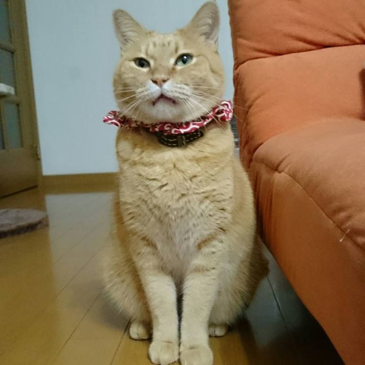 2ecbef67 77b3 45fc 8df0 f5c8cbd98500