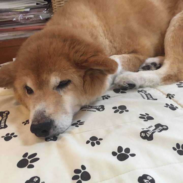 2ecd31b0 9339 408a afd6 a6ab1fe5c5fd