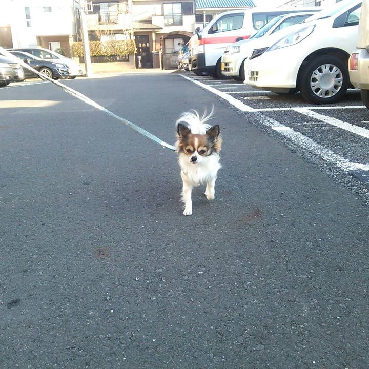 2ecde721 abea 4cbc b0a6 f3afb45a27e5