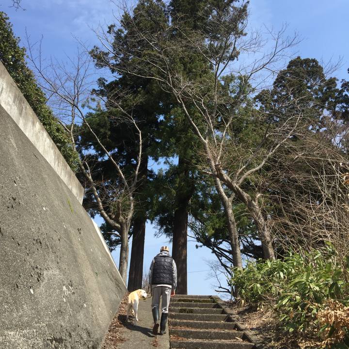 2ecdee5a fcc1 469f 9f3d 1e0615374824