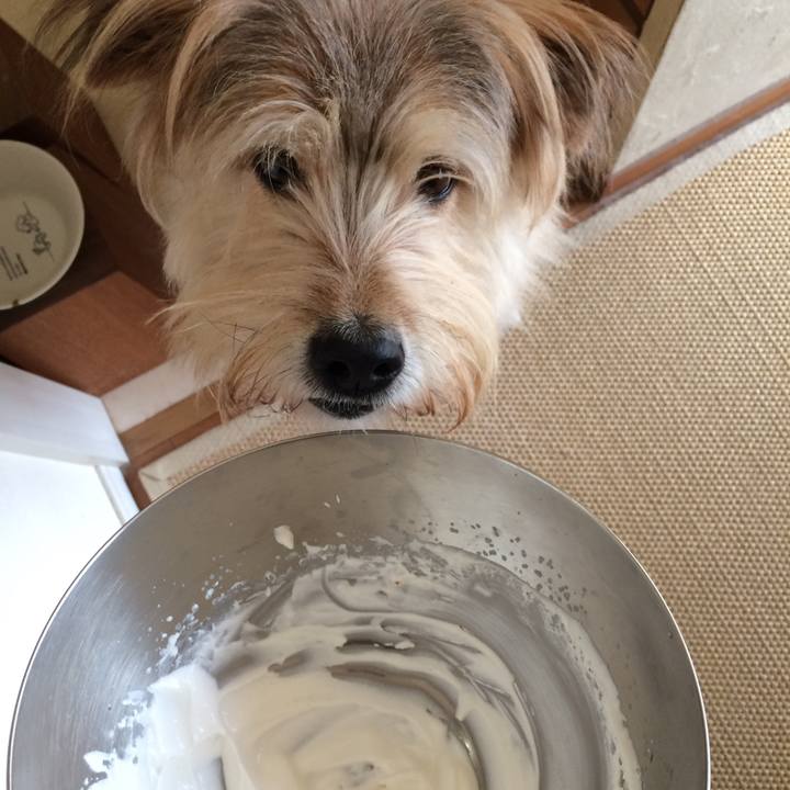 2ece0d5a d5b7 453d 821c 40c4900b6d01