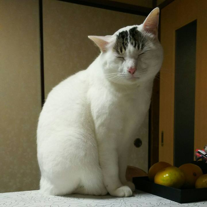 2ece467d b656 4423 92c1 48ed6f8cc1c3