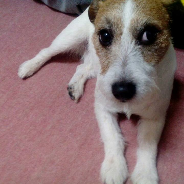 2ece72ab b349 4c54 baa1 d2e446be26cc