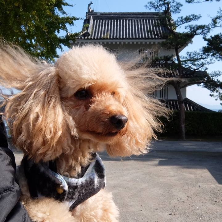 2eced857 c8ba 473f bf4f c5908f2bbc96