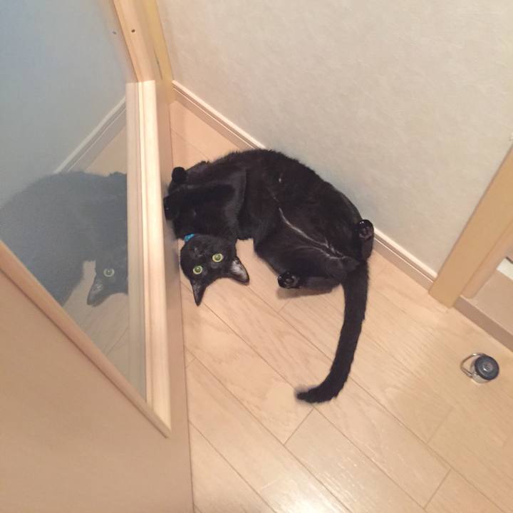 2ecef36f 1bc9 4d83 9d21 cbbdda812e09