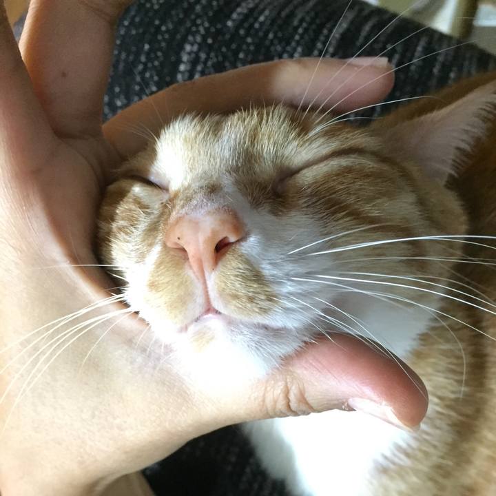 2ecf1d91 3bb2 487a a0d5 b1b4f62b9588