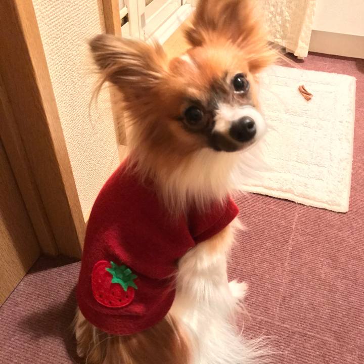 2ecf4425 adce 4323 8c4a b0957ac86487