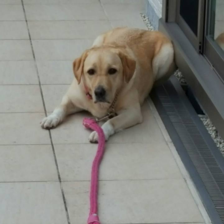 2ed08239 af23 4280 86c9 f937b7ec7acf