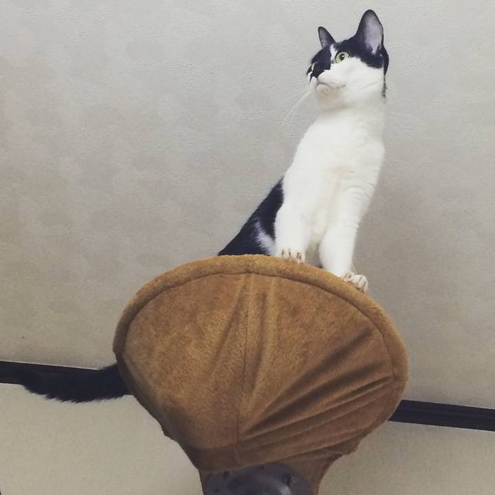 2ed09998 bc72 4655 bb76 607cd9ef4a9a