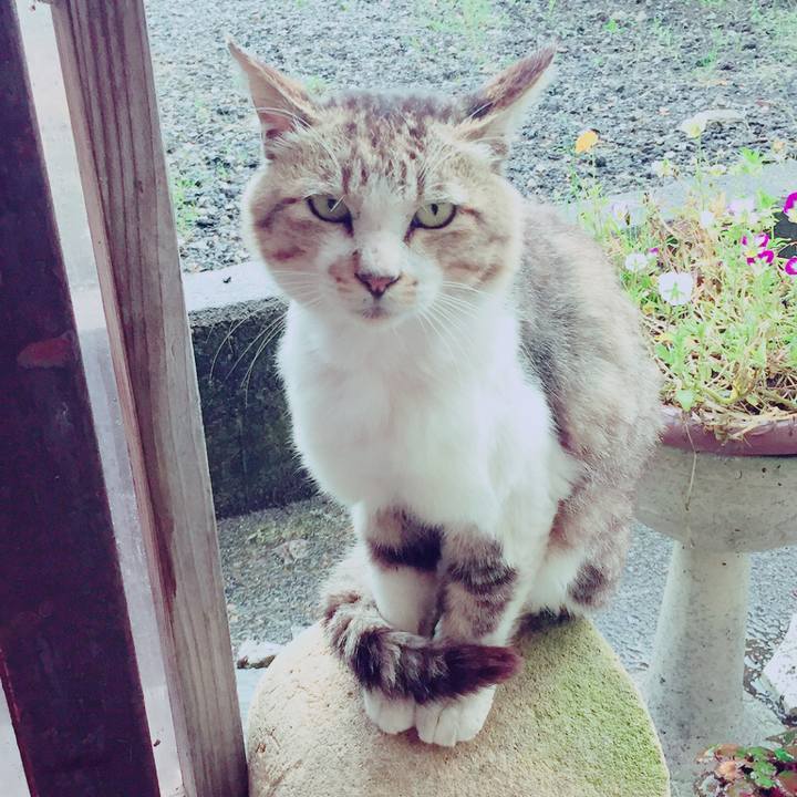 2ed0d321 6e49 4b4c b85b 53f2eece17af