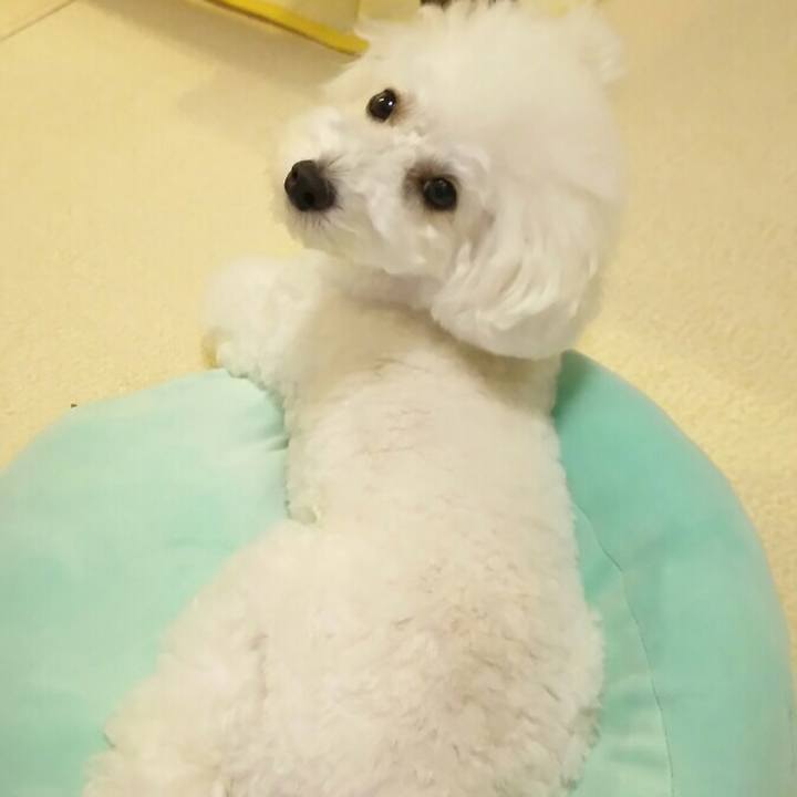 2ed104f7 34c0 4e64 bab4 e6be0b79c40d