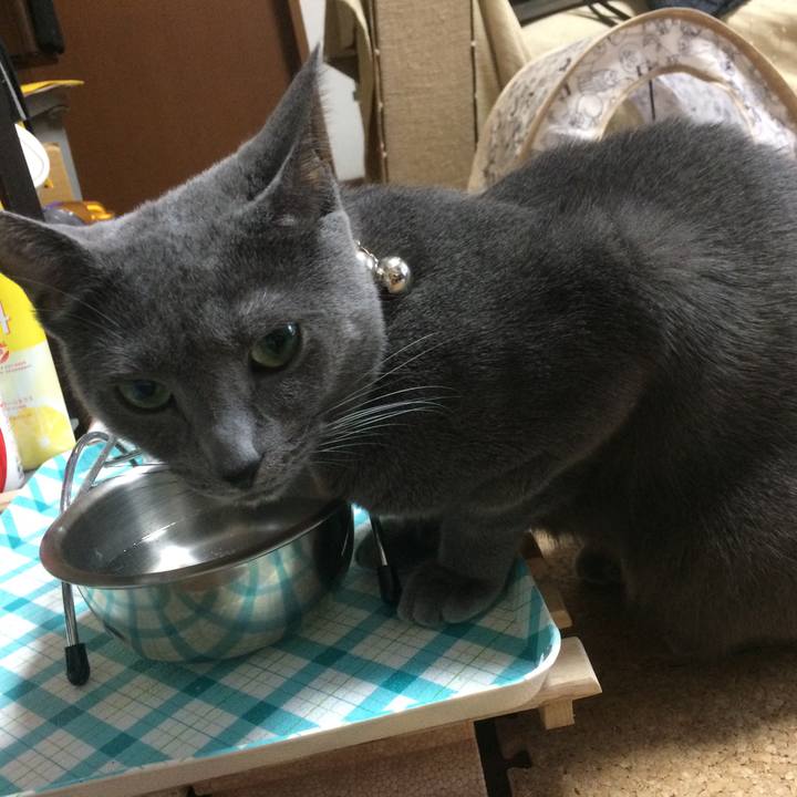 2ed15b07 99e2 489d b2b0 28db75a479a0