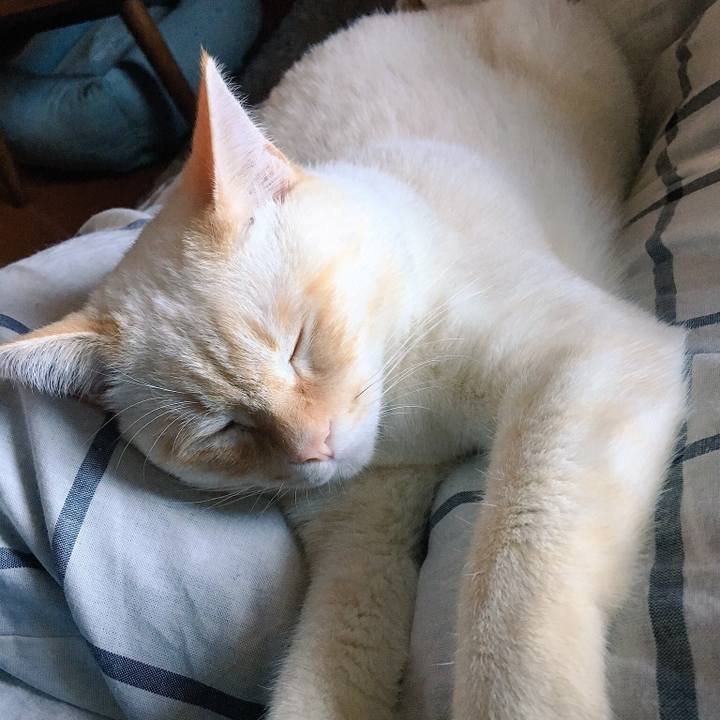 2ed21c61 f291 4da3 9113 aaa54c309bce