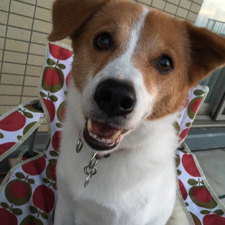 2ed245e8 3e4c 4ab1 adec 3644e59450c9