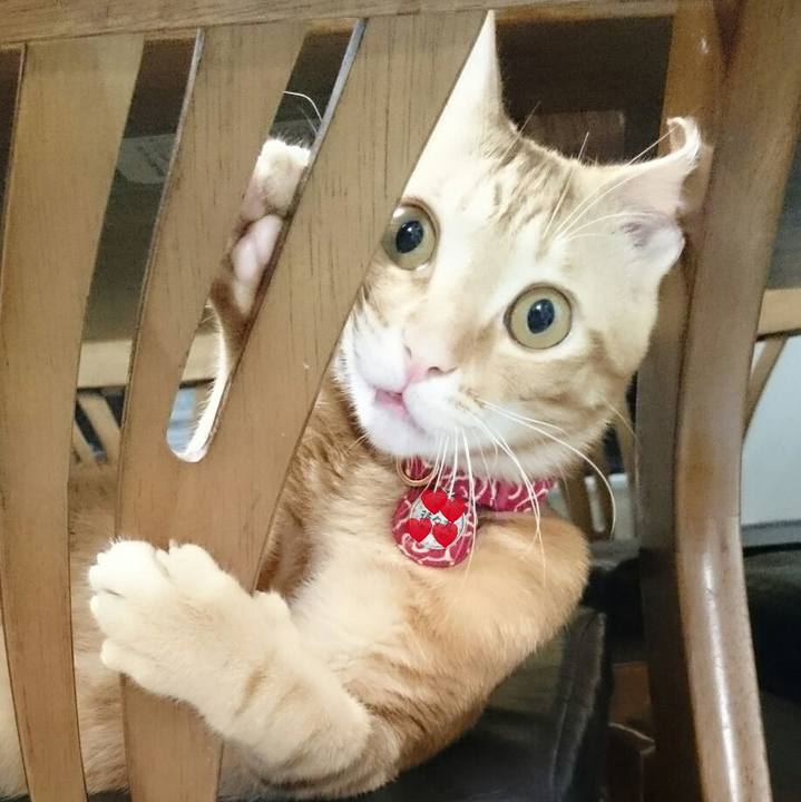 2ed3185b 3bc2 4da1 a198 c1fec1639f0e