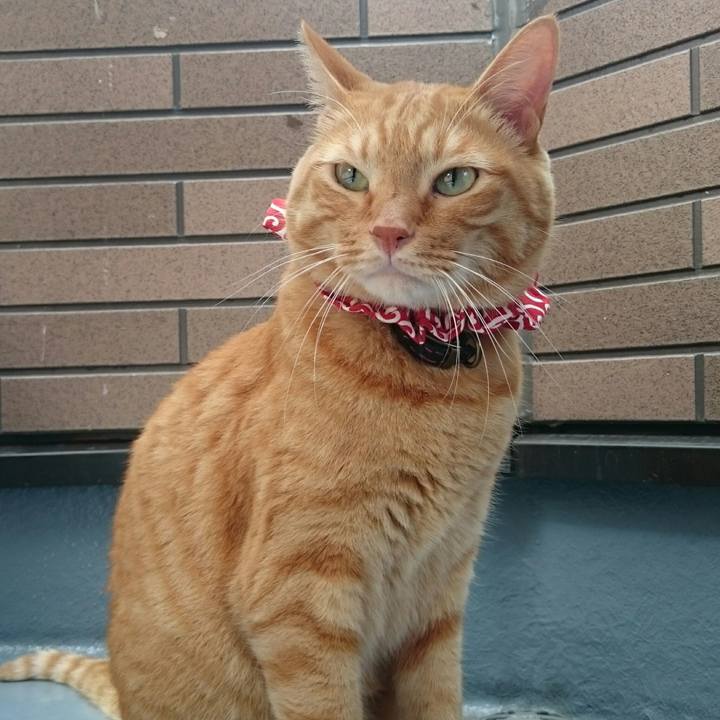 2ed334f6 8144 4293 ad09 fe372fb700bb