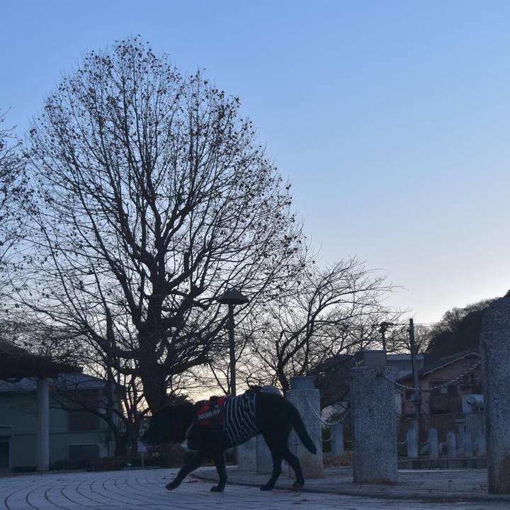 2ed386bb 66a4 42ce 93f7 e6ad51a36707