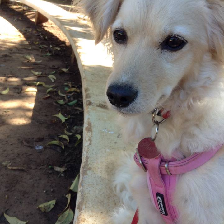 2ed4a510 8306 4336 b255 213fb3614f3e