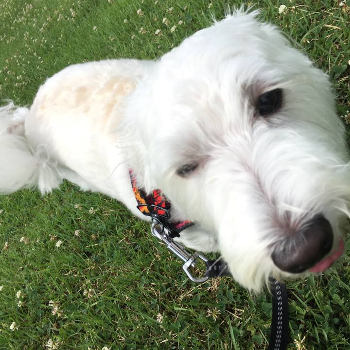 2ed50a78 5986 4f51 a8d9 5b5fa2048626