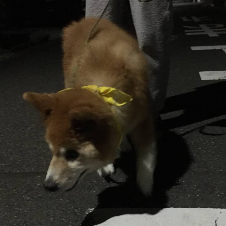 2ed5f18f 8320 4e46 b78e 1d1eafde1364