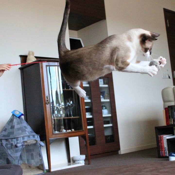 2ed6be81 a56e 4652 a331 65ef35b80a17