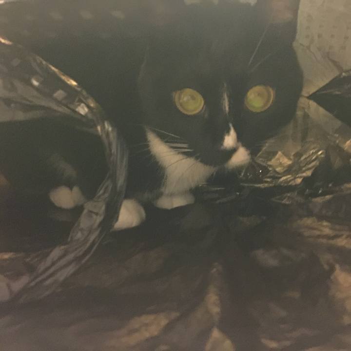 2ed6ed3a 7ceb 4f48 ab9c 420866032216