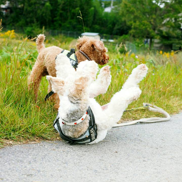 2ed722bd 9391 4376 8be2 3391d541e6b8