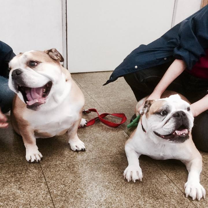 2ed7d513 91bb 4efc 9822 dbc2646cf1aa