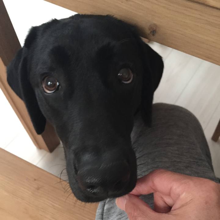 2ed8753e b56e 40ee 88a1 618d79f2fc68