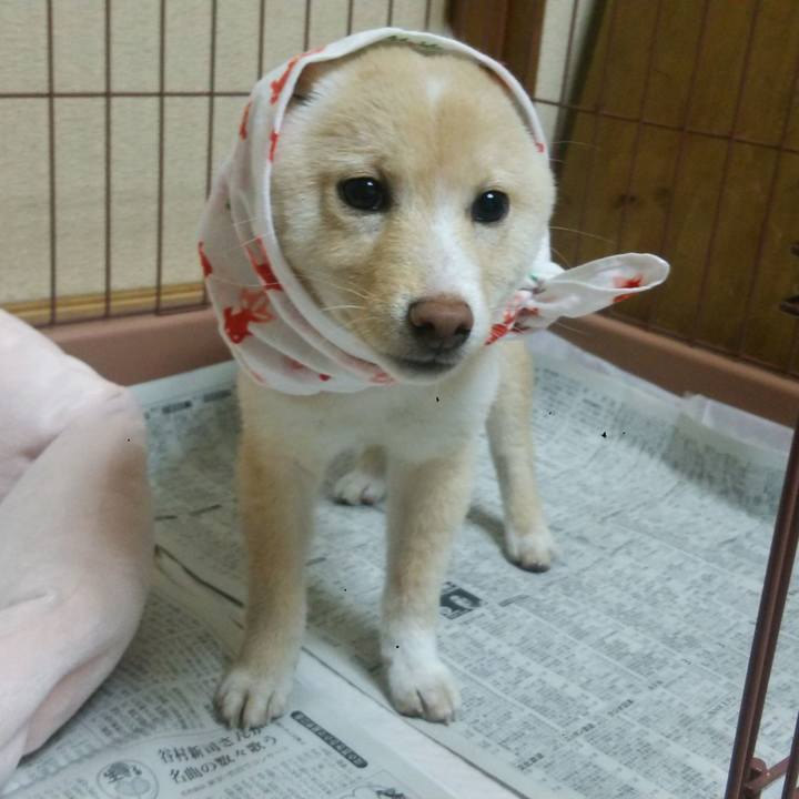 2ed8da87 53fd 417d ac6e 84b0ca088fca