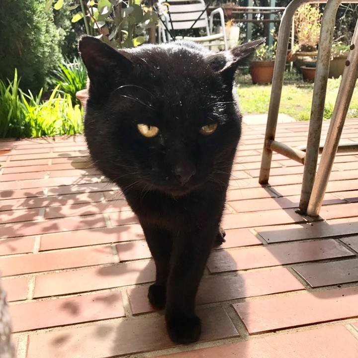 2ed9604b 174d 41d7 bb86 70e63b981b73