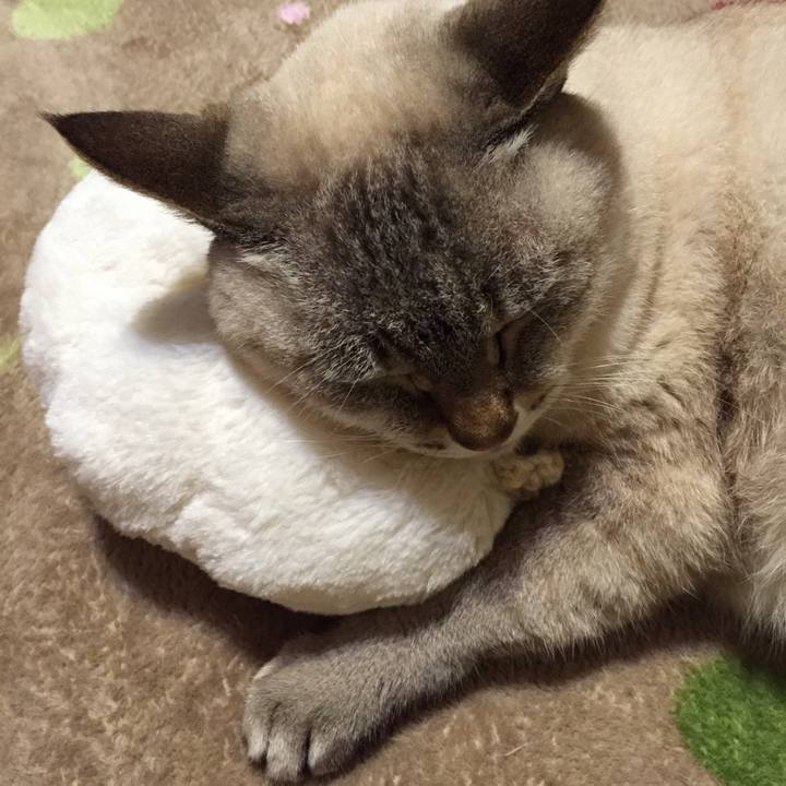 2ed9681c 2a6d 437c 891e 8a3e0c2245a5