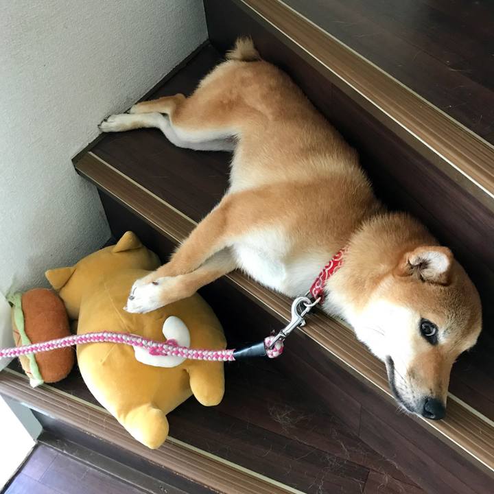 2ed96b41 bf0c 4c77 9639 14b392ae9f40