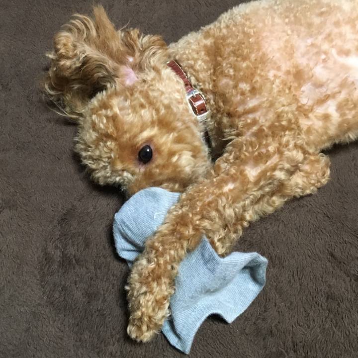 2ed9bff4 a309 47e8 a43c 7dcd92fc33a0