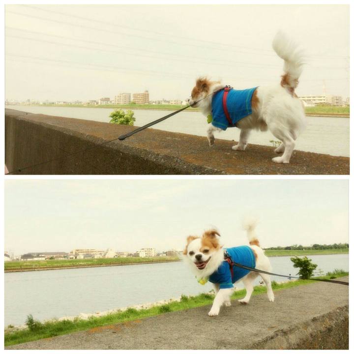 2eda167e 8aa8 4d87 be2f 269d84a0fe7f