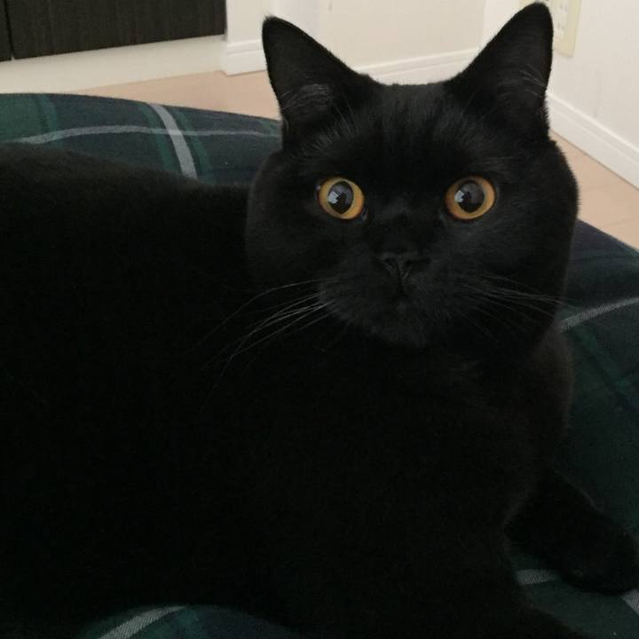 2edac004 abb5 4d1f bc2e 09e3f3eba432