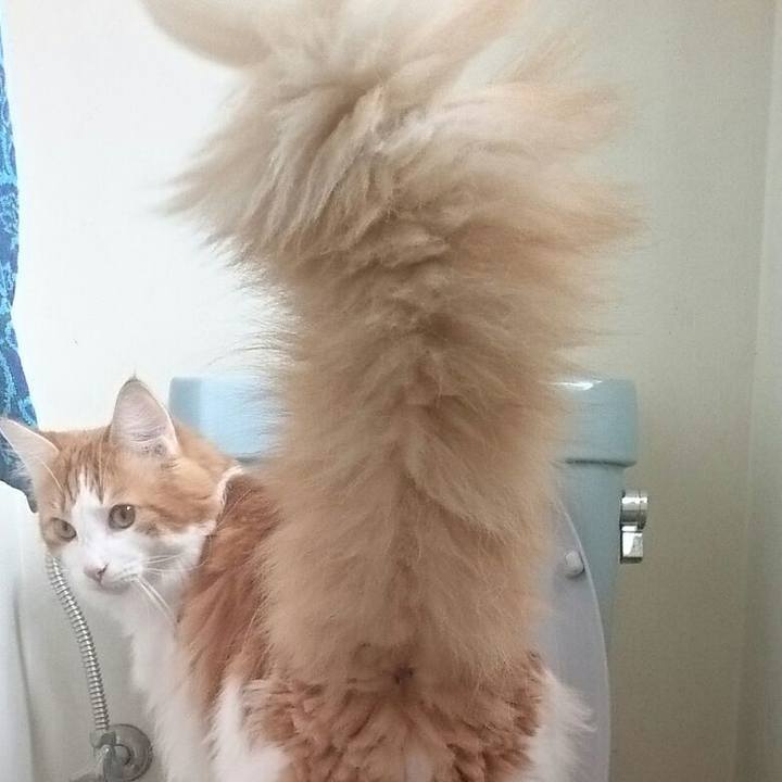 2edae15c 6f0d 4449 919a 74a86056640c