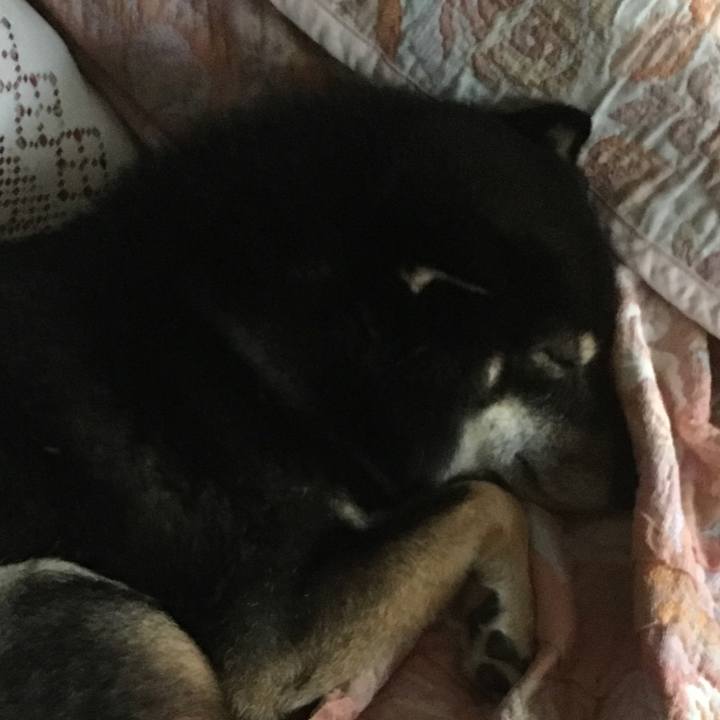 2edb0514 8e0e 4df0 b8fe 44faeb993a37