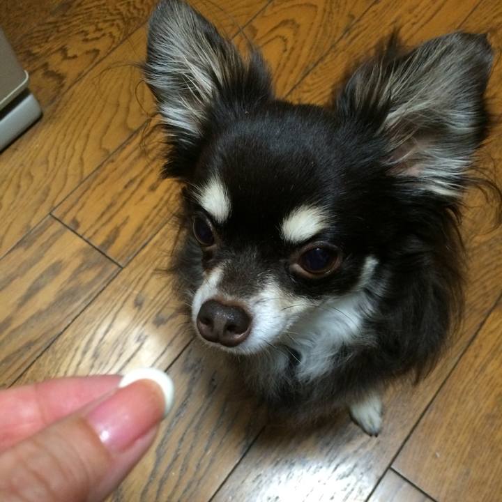 2edb35f1 92a8 403e b148 bafaac956f7b