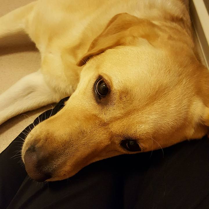 2edc9818 aa19 4492 a453 3f1f271fd3b5