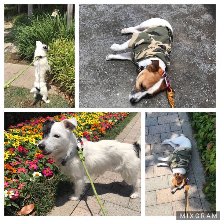 2edd436b 098f 40f0 805a cab350f4cd6b