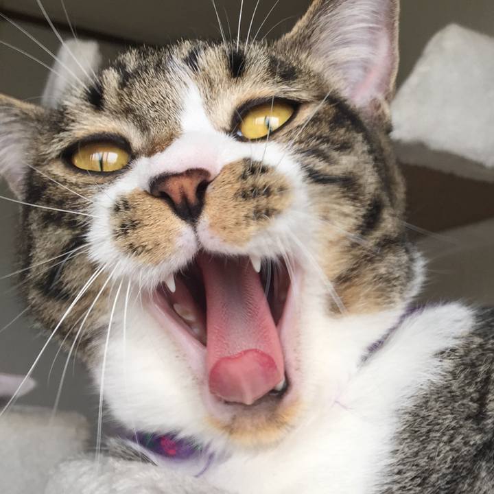 2edda08a 24a0 43cc 8859 67d0768a5e6d